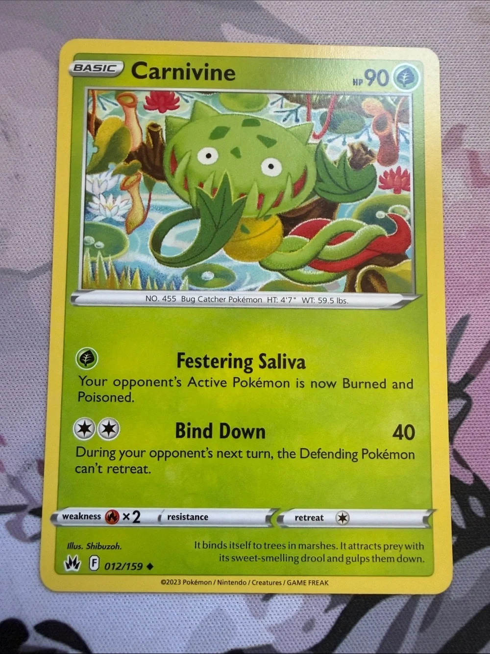 🌿 Garden Pokémon Card Lot | Bounsweet Hoppip Carnivine Tangela ✨5/$25✨